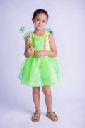 Fantasia Fada Verde Luz da Floresta Infantil Luxo
