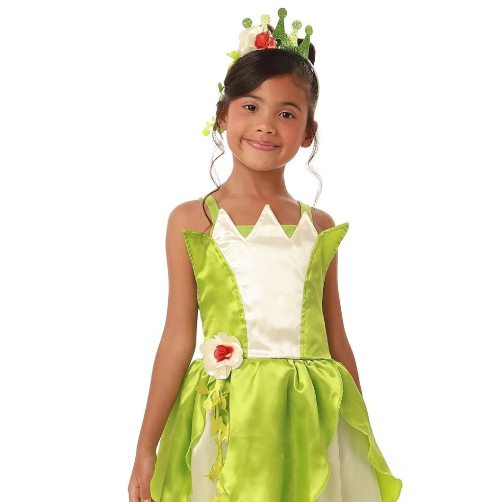 Fantasia Princesa Encanto Sapo Verde Infantil Luxo