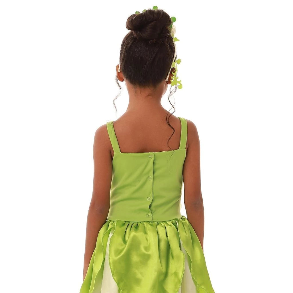 Fantasia Princesa Encanto Sapo Verde Infantil Luxo